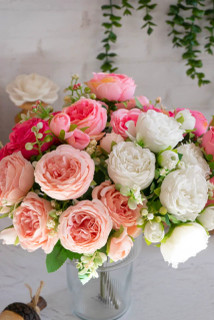 نهال گل رز ژولیت