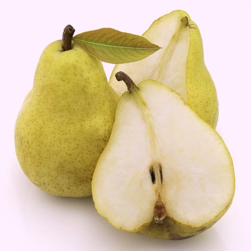 نهال گلابی شاه میوه