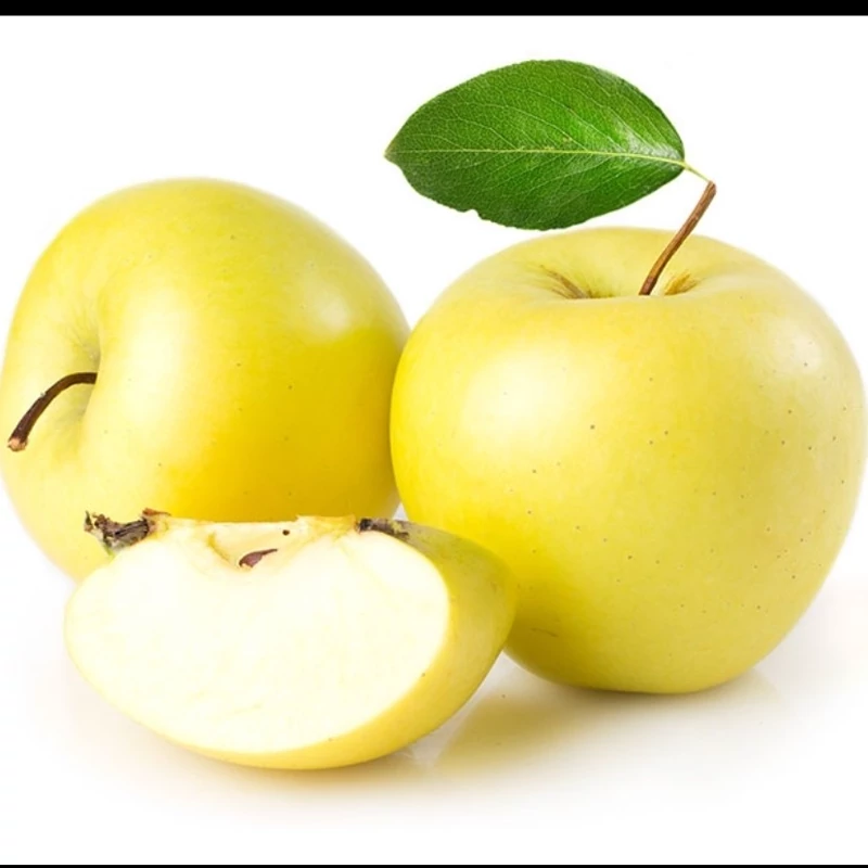 نهال سیب زرد (لبنانی)
