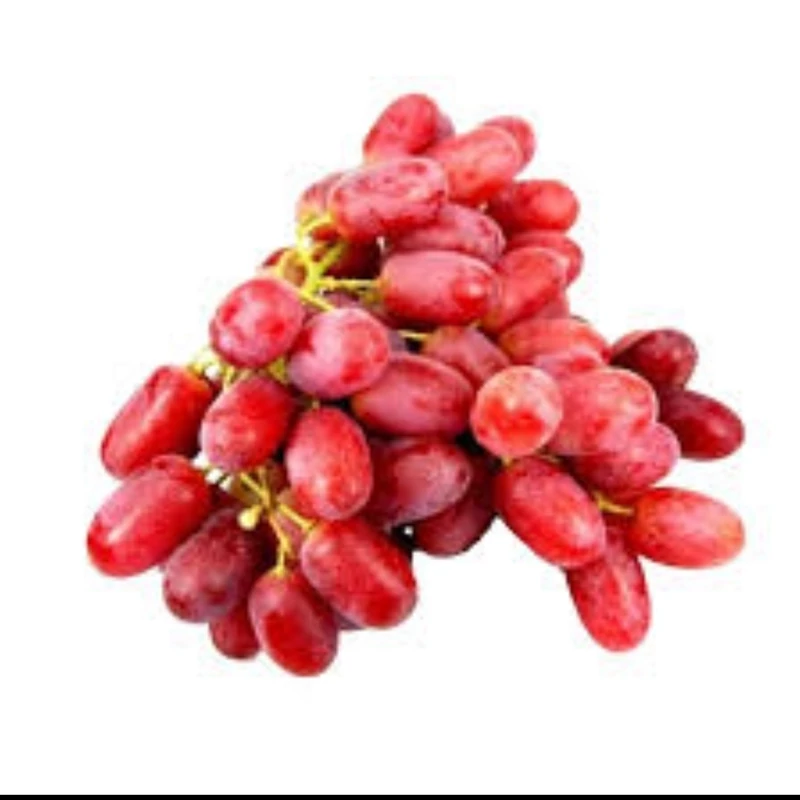 انگور اسکارلت رویال