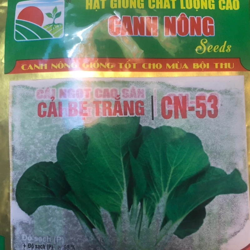 بذر باک چوی کلم چینی