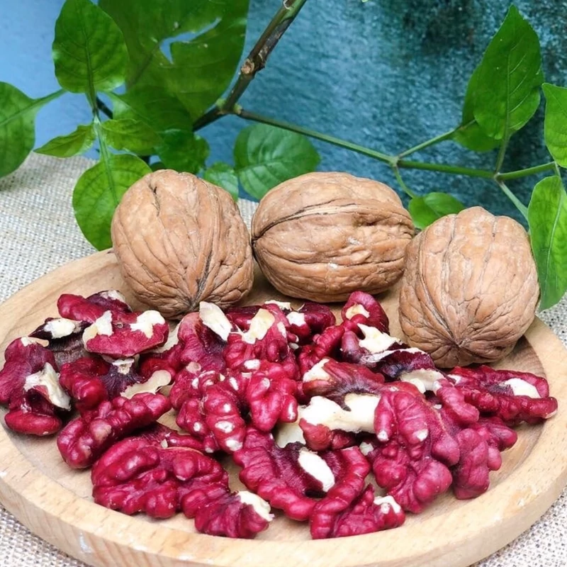 نهال گردو قرمز